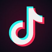TikTok Followers Logo